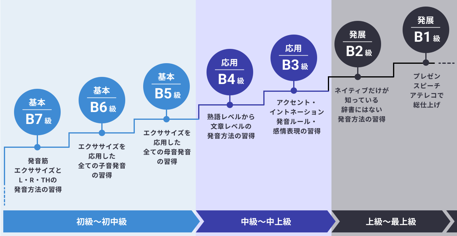 7段階のカリキュラム図